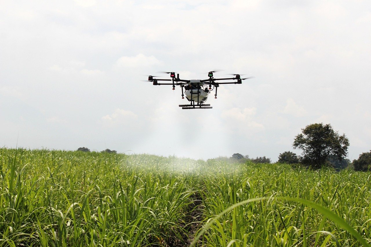 spraying sugar cane, sugar cane, drone farm-2746350.jpg