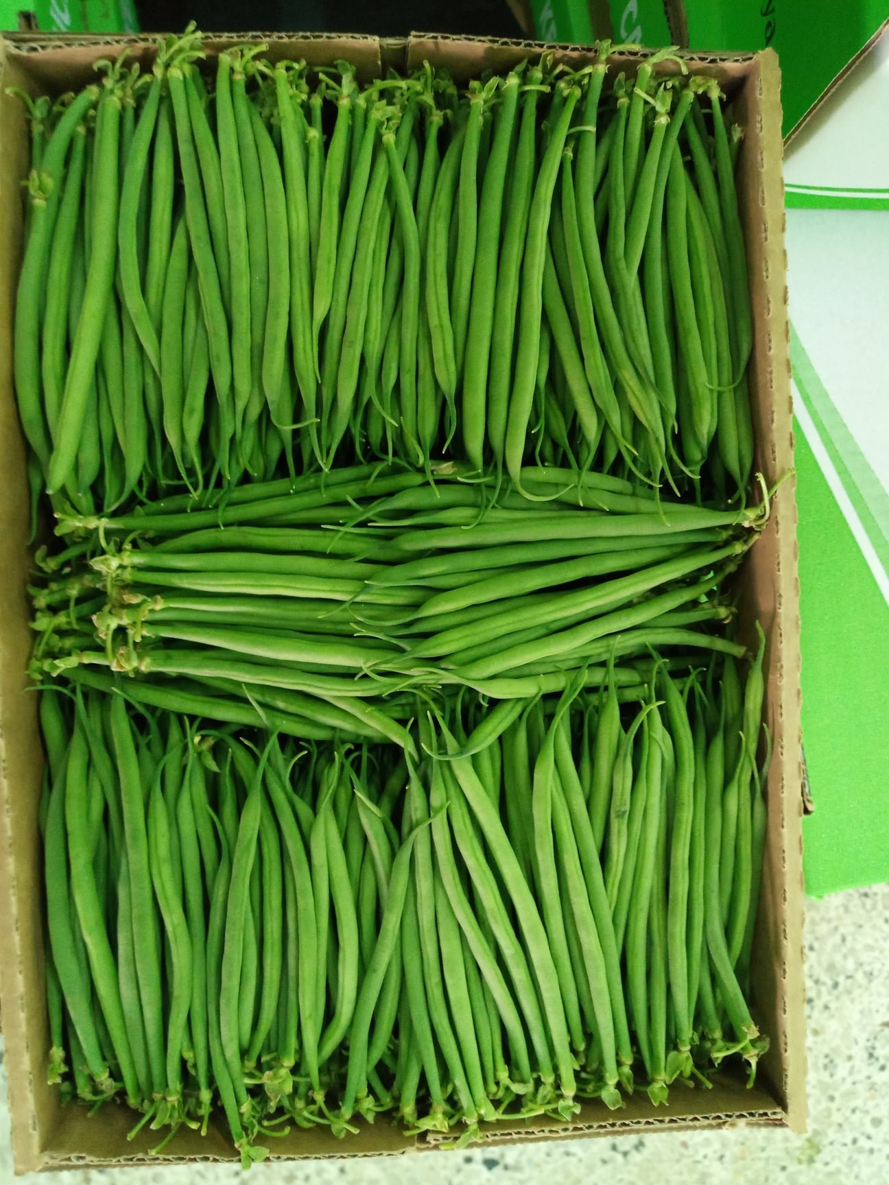 issacco fresh, fresh french beans