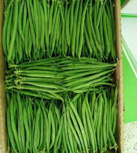 issacco fresh, fresh french beans