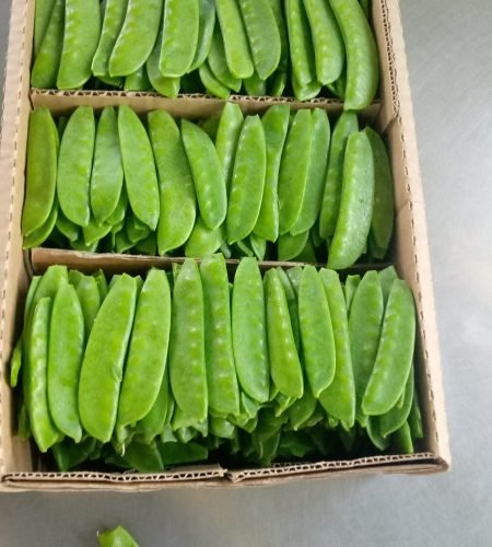 ISSACCO FRESH, SNOW PEAS