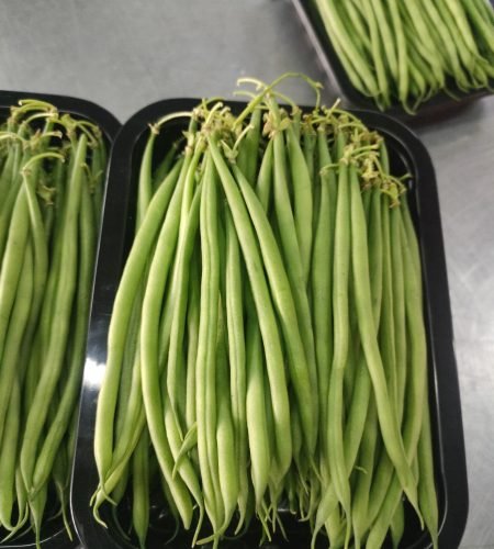 issacco fresh, fresh french beans.